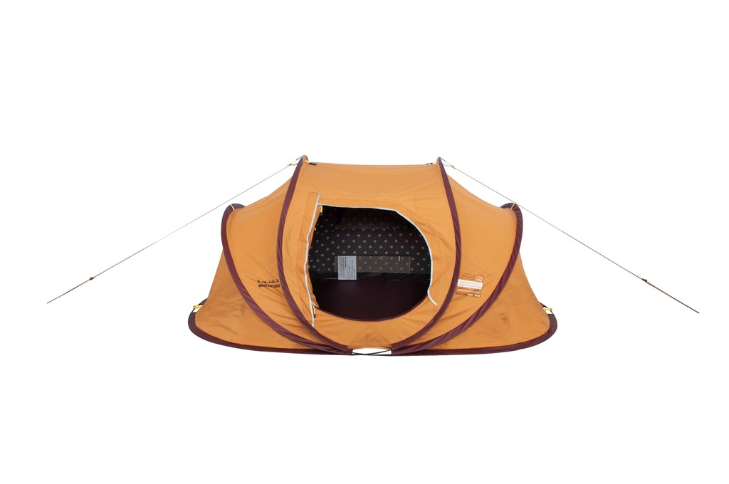 العرض الثاني عشر