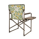 DIRECTOR CHAIR LEMON PRINT