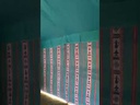 5x8 Yard Transparent Tent - Green 