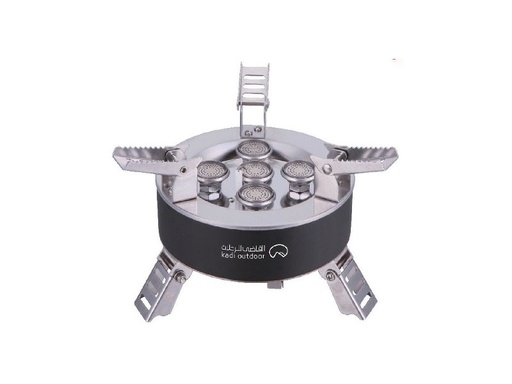 5-Burner Gas Stove with Stainless Steel Frame