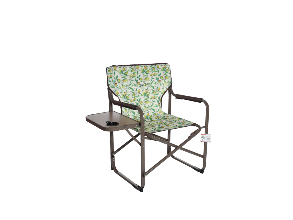 DIRECTOR CHAIR LEMON PRINT